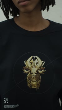 Image 2 of Gaurdian of Affinity Longsleeve