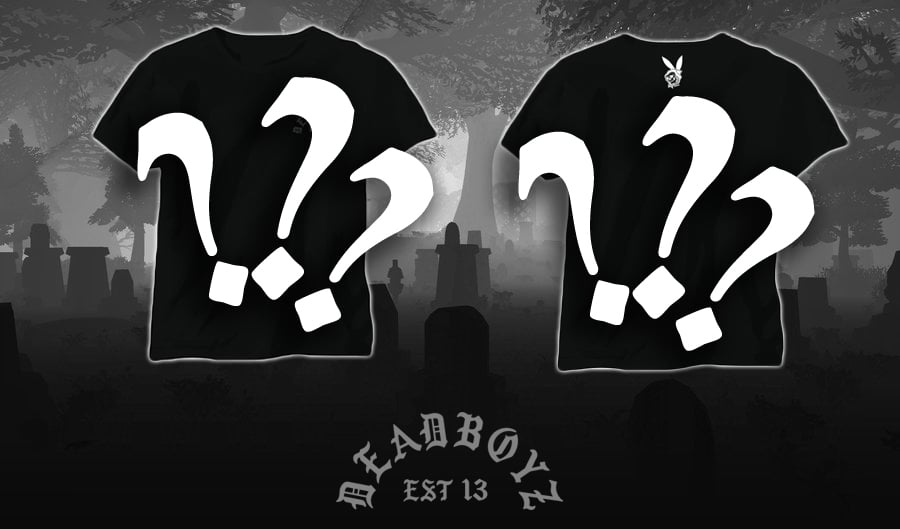 Image of Mystery T-shirt!