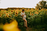 Image 1 of Sunflower MINI 🌻 