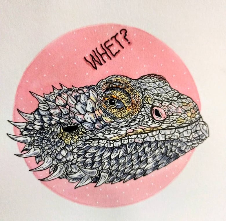 Image of Pet portrait commissions