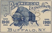 Image of Pan-American Exposition Blue Charging Buffalo