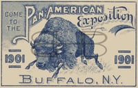 Pan-American Exposition Blue Charging Buffalo