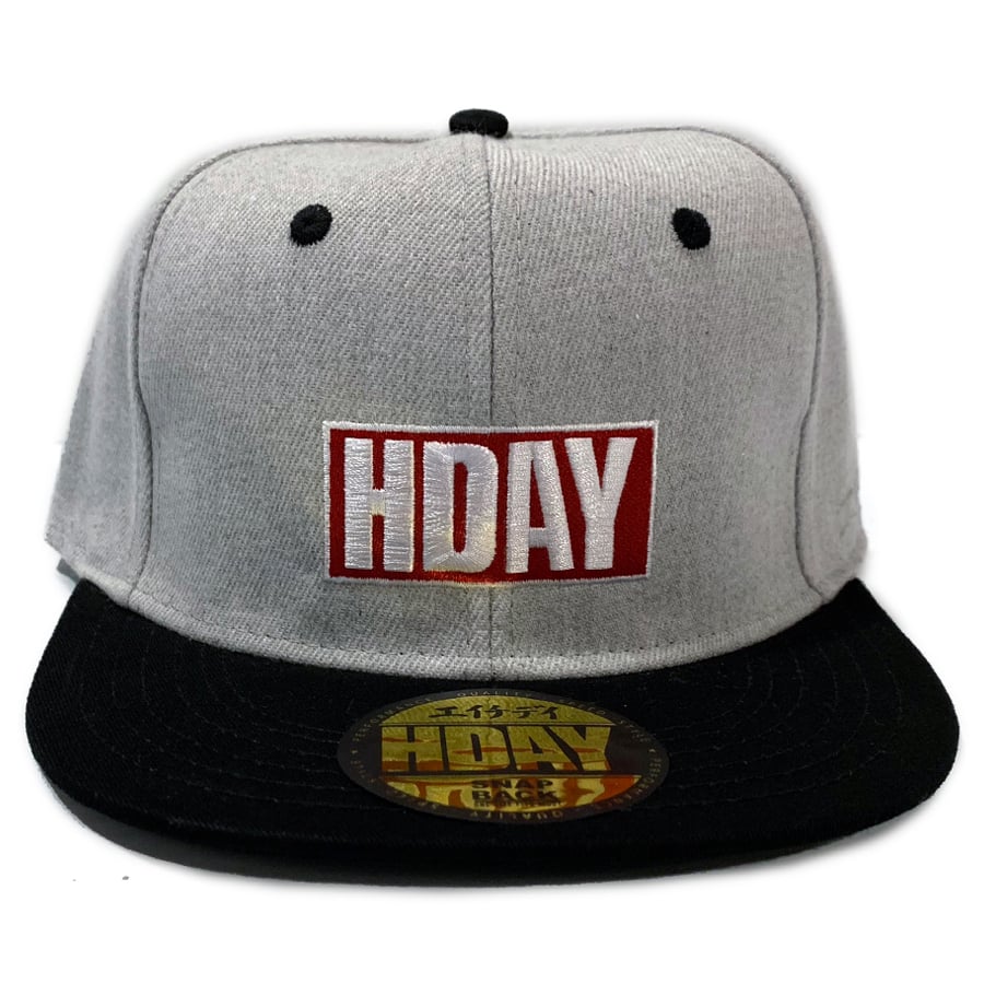 Image of HDAY SNAPBACK - GREY/BLACK