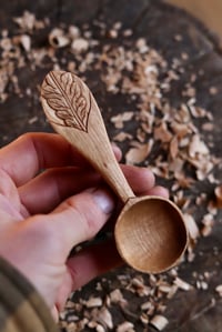 Image 5 of Oak Leaf   Coffee Scoop 