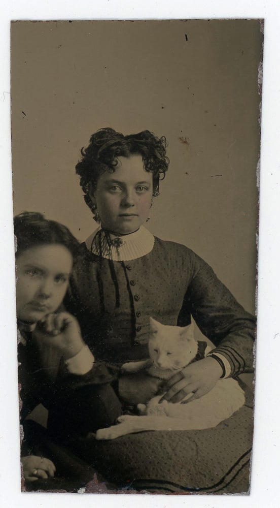 Image of Unknown: woman and boy with a white cat, USA ca. 1865