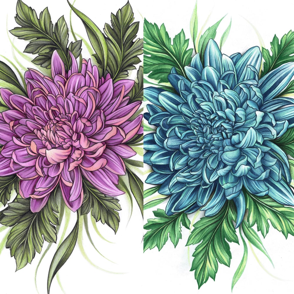 Image of Both A3 Chrysanthemum prints