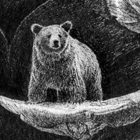 Image 4 of Rewilderness