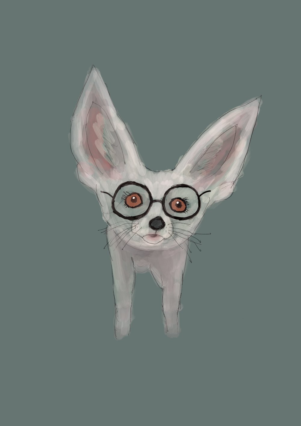 Image of Fennec Fox
