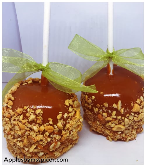 Image of The Classics