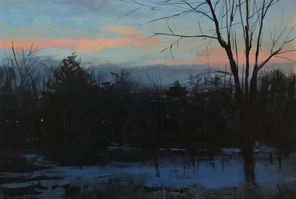 Image of winter sunset (view from studio ) 