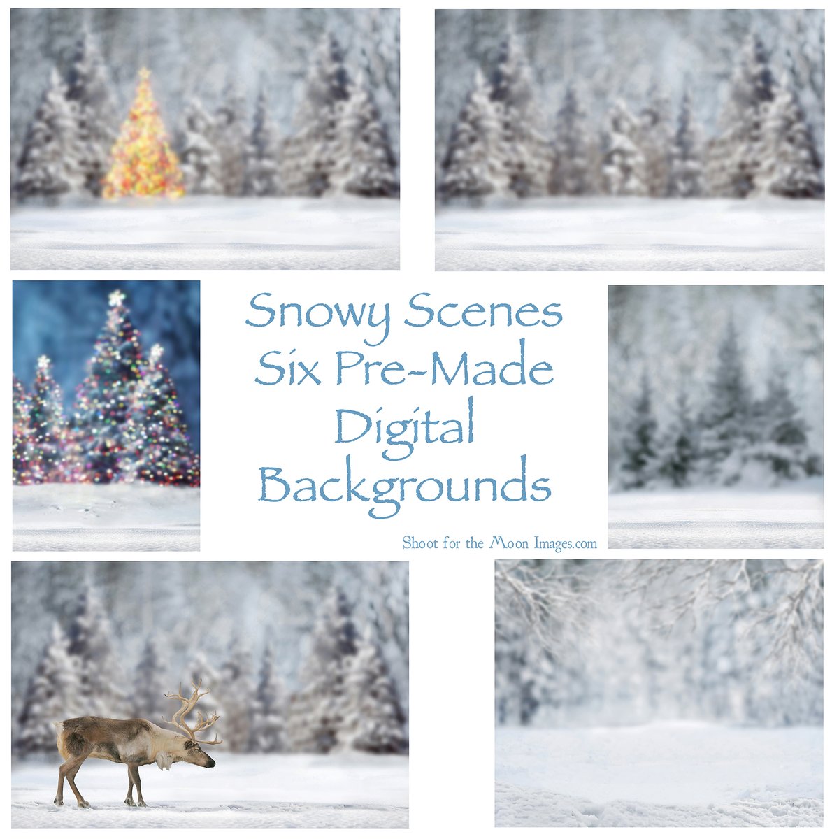Image of Snowy Scenes Digital Backgrounds