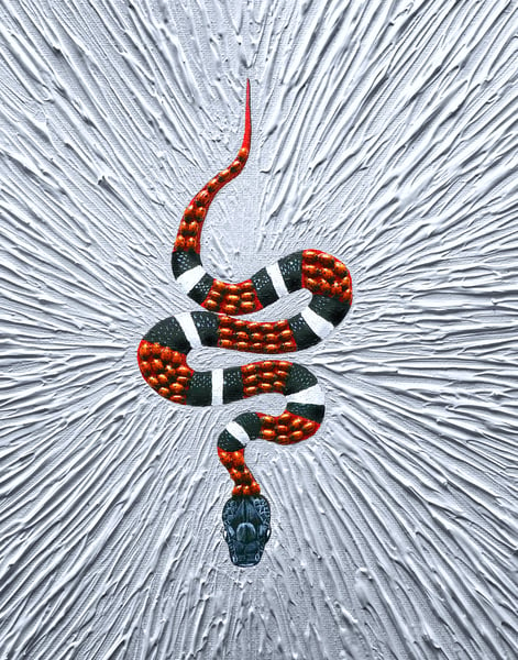 Image of 11x14 snake made of ladybugs