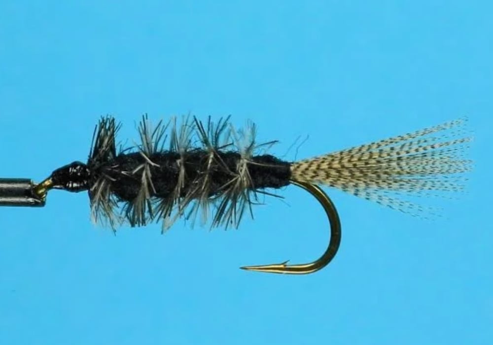 Eastern Trophies Fly Fishing — CK Nymph