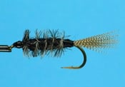 Image of CK Nymph