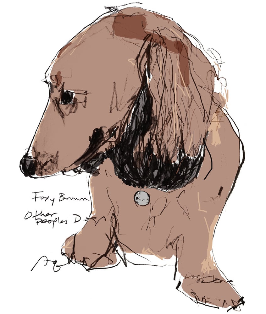 Image of OPD Foxy Brown