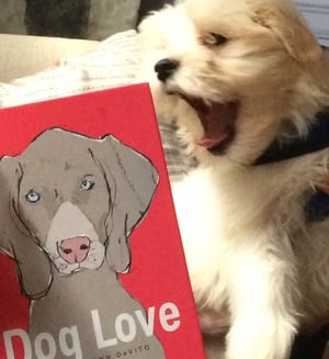 Image of Dog Love