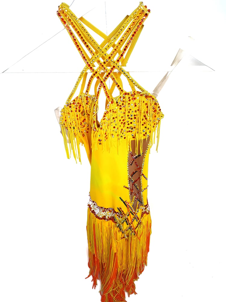 Image of 2012 National Rhumba Dress