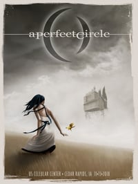 Image 1 of A Perfect Circle - Cedar Rapids, IA