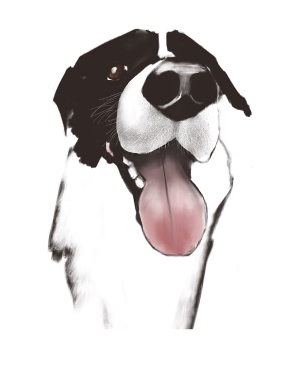 Image of Fine art print: I'm into that