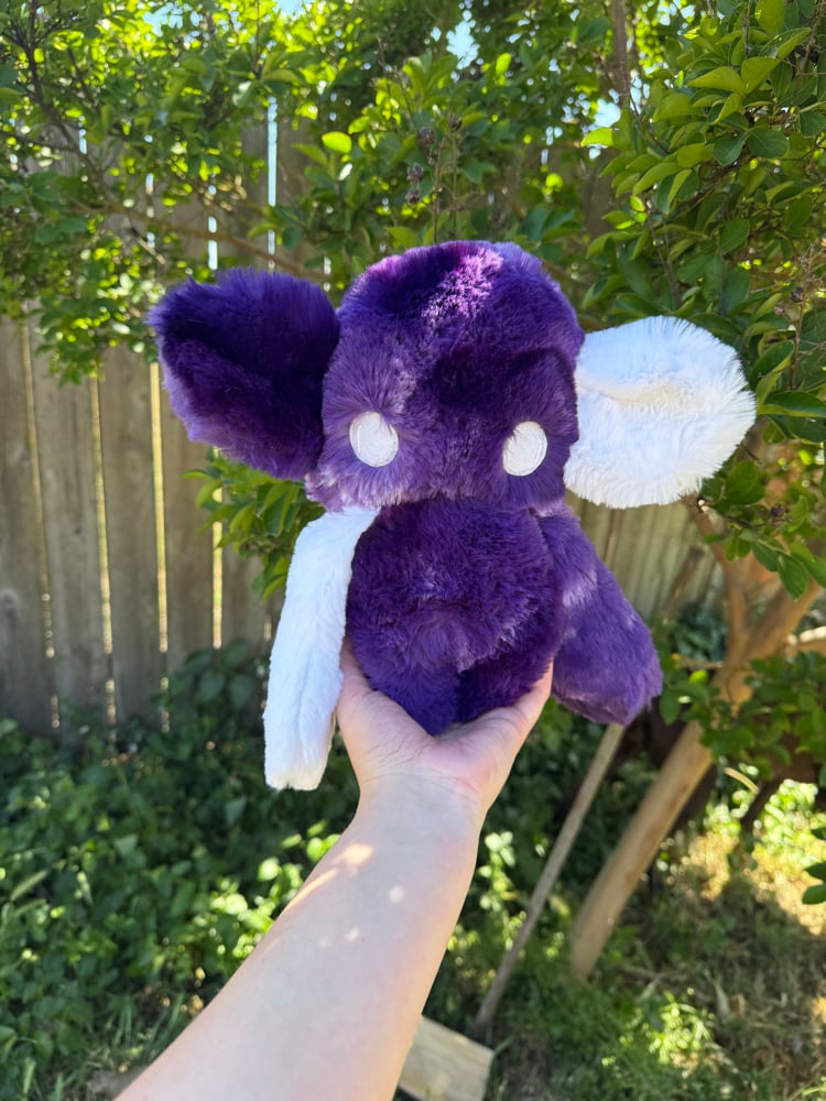 Image of nursery void purple