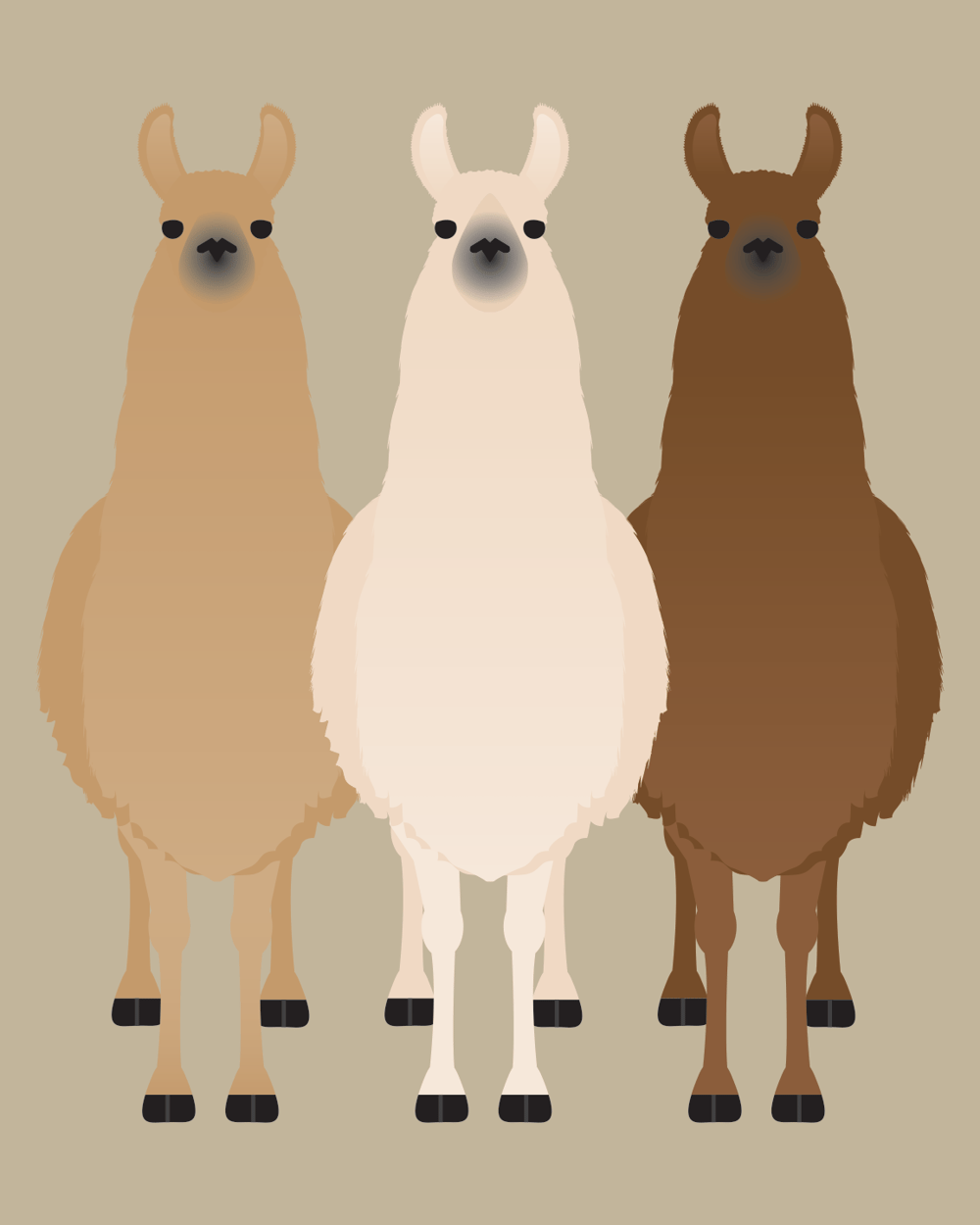 Alpaca and Llama Collection