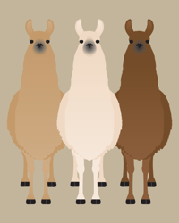 Image 2 of Alpaca and Llama Collection