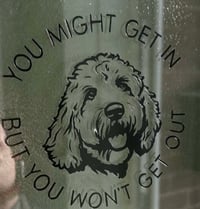 Image 2 of You Might Get In - Custom 