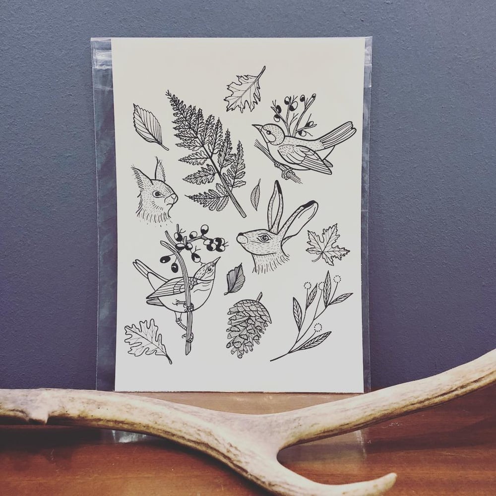 Image of NATURE PRINT