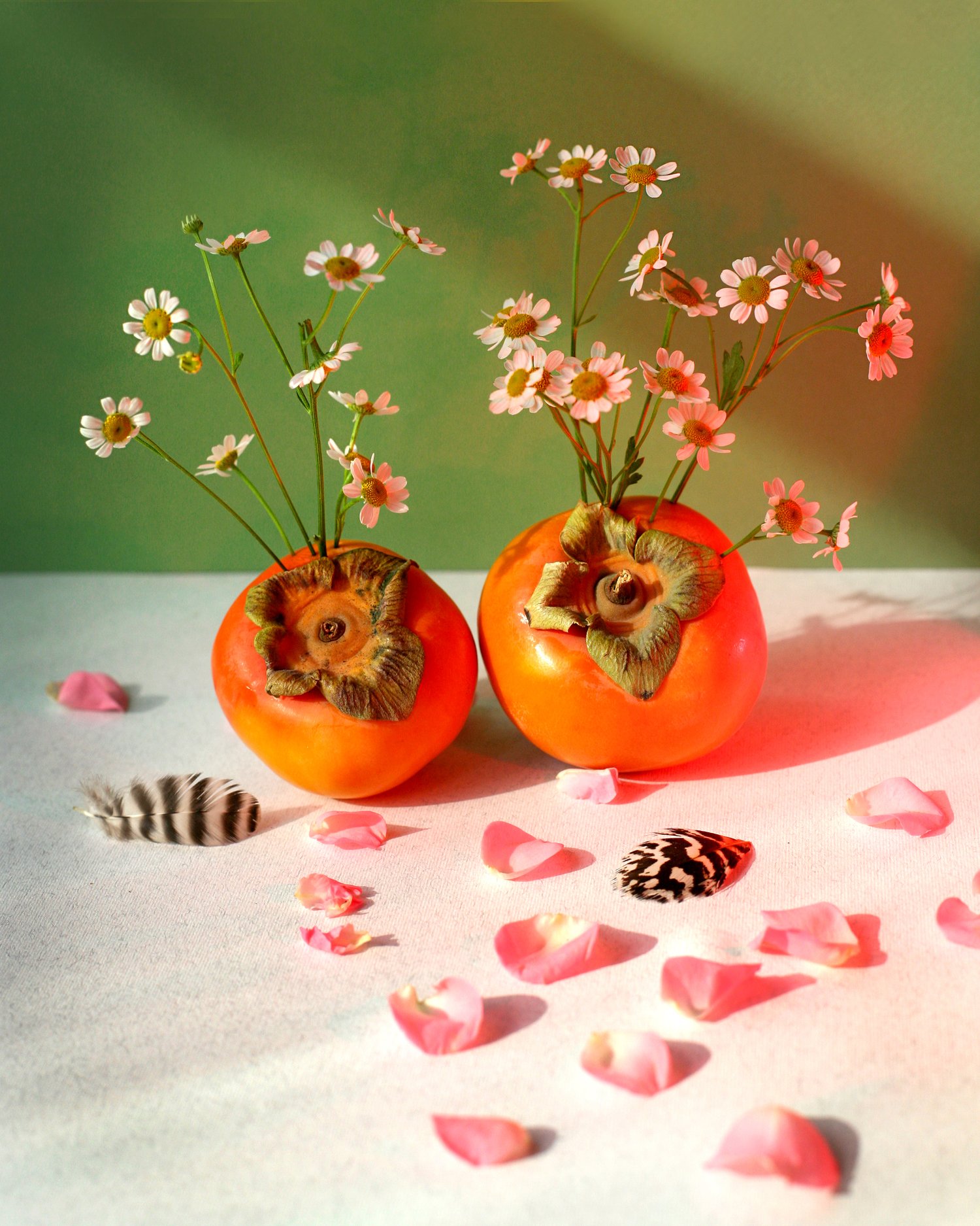 Image of Persimmons Photo Print