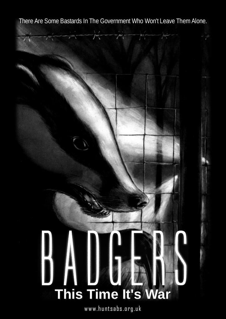 Image of "Badgers: This Time It's War" fine art print