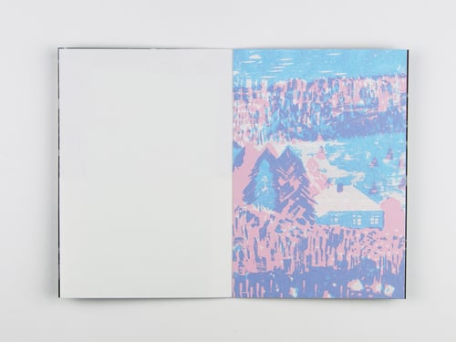 Image of JARDIM BOTÂNICO VIII — Casa, Casota, Casulo, Toca, Teia, Ninho, Colmeia — Inês Machado