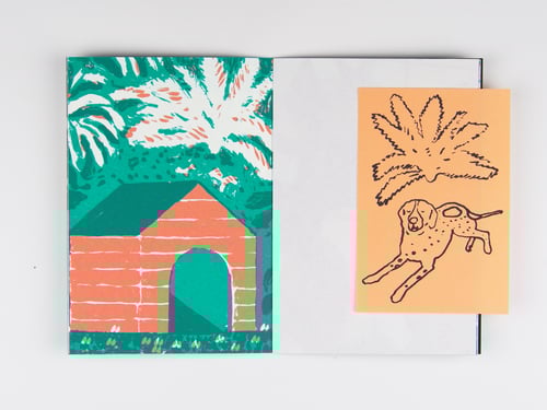 Image of JARDIM BOTÂNICO VIII — Casa, Casota, Casulo, Toca, Teia, Ninho, Colmeia — Inês Machado