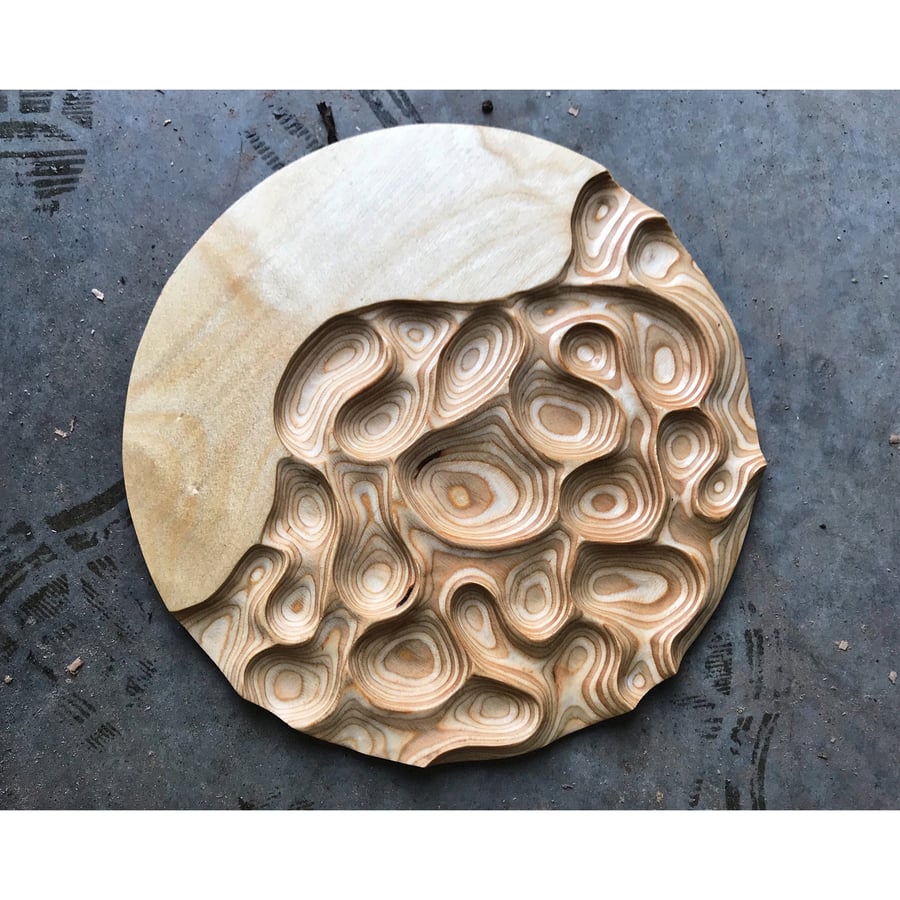 Image of What Lies Beneath. Ply carving