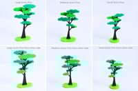 Image 4 of Scots Pine Tree