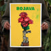 Image of Rojava Rose 