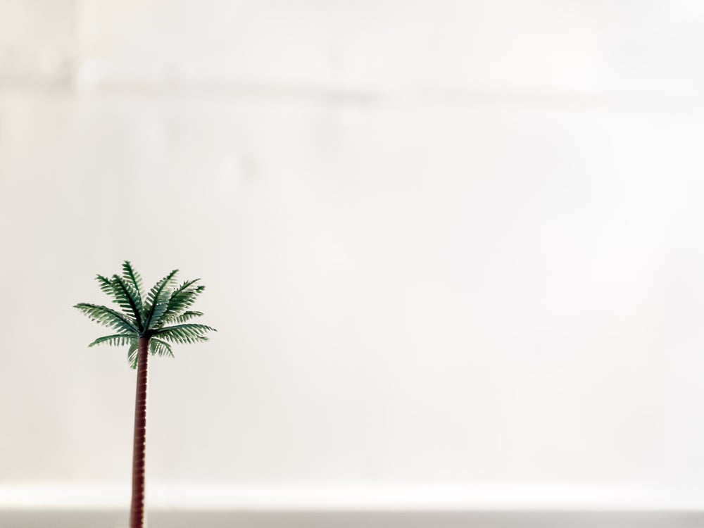 Image of Plastic Palm | Christopher Borrok (2012) | Limited Edition Prints