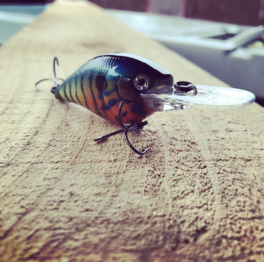 Image of CARBON MD57 