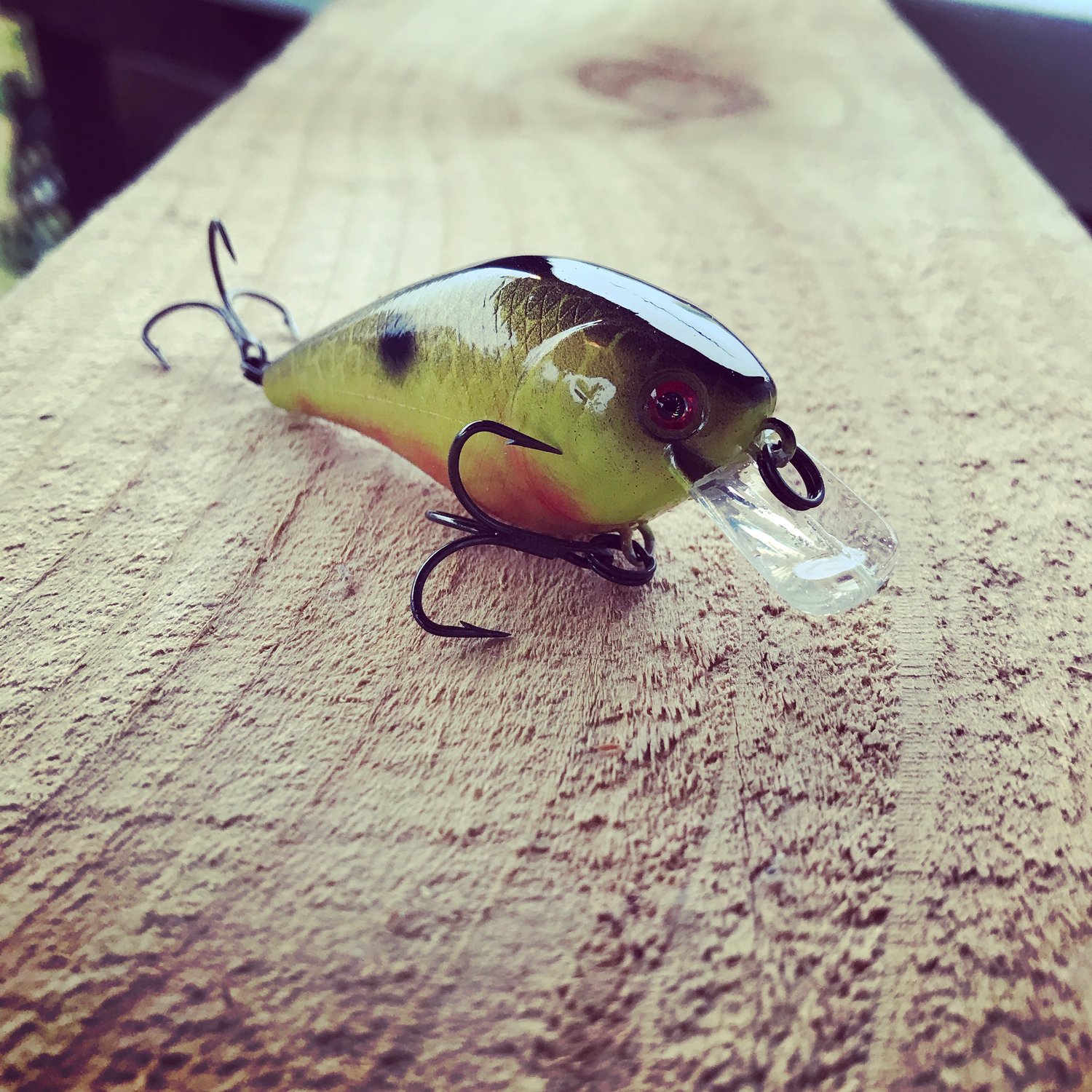 Image of CARBON SB50