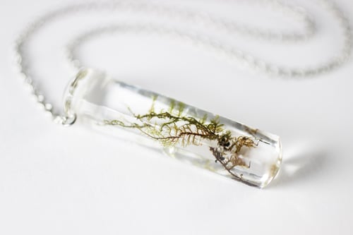 Image of Moss Specimen Necklace - Rectangular Prism