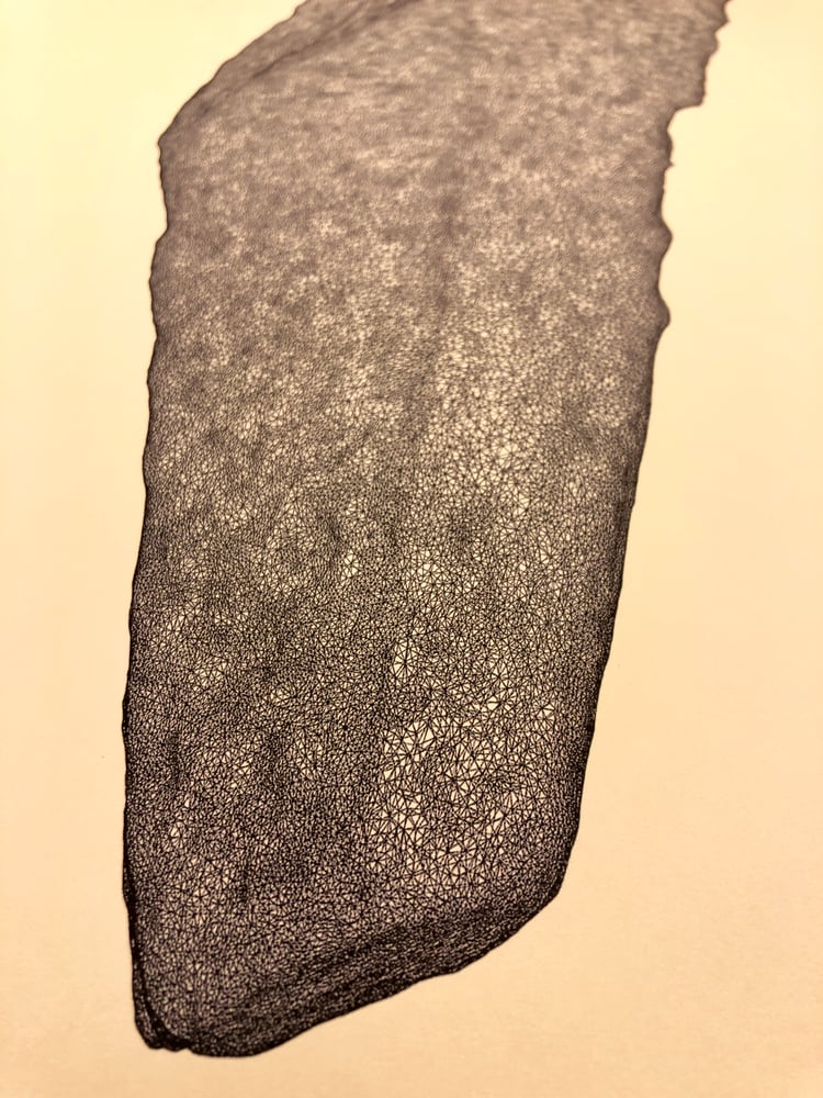 Image of untitled (shard /void surface)