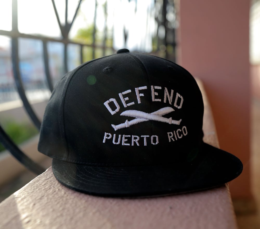 Image of DefendPR Snapback