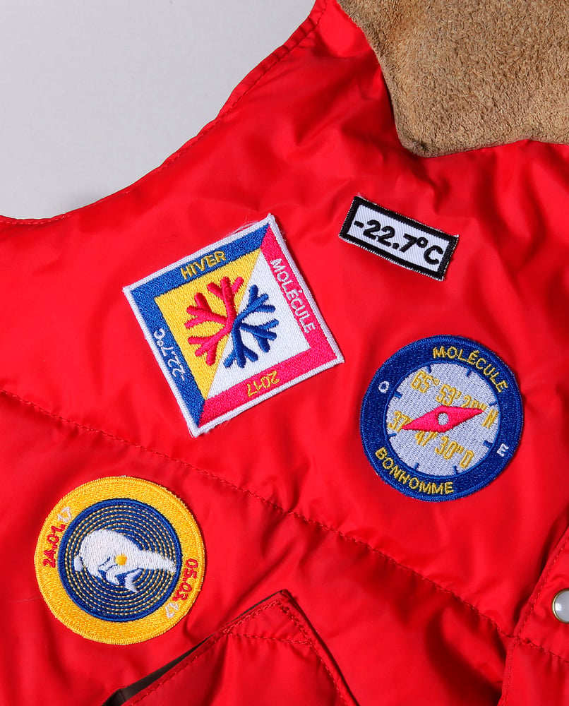 Image of  Molecule's "Greenland Expedition Patch" by Bonhomme #bear