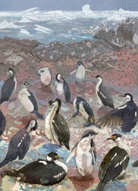 Image 1 of Colony Life - Lagotellerie Island - Antarctica