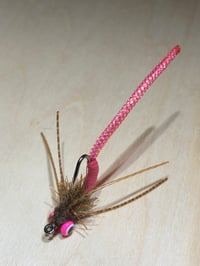 Image 1 of Sparkle-Tail Carpin' Bug
