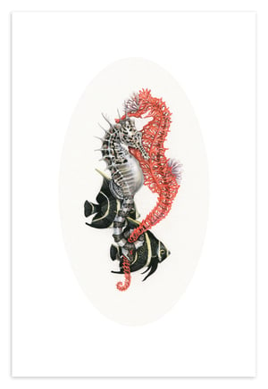 Entangled Limited  Print - Sold Out