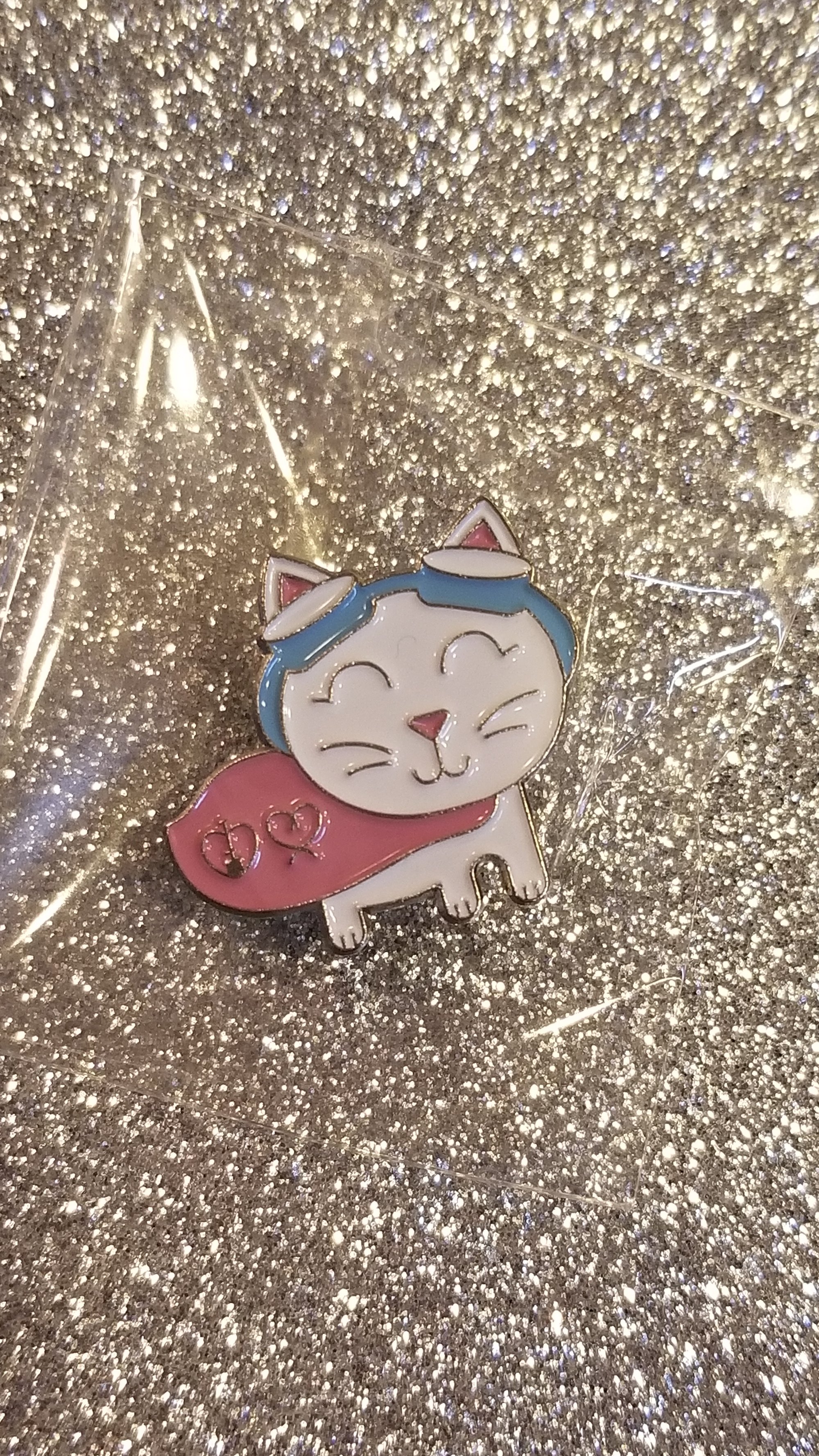 Image of CATEGO Speedy Cat Pin