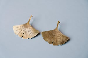 Image of GINKGO