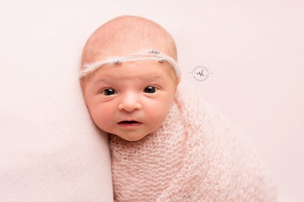 Image of Mini Newborn Session-   $249