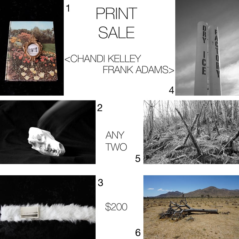 Image of PRINT SALE - Frank Adams and Chandi Kelley