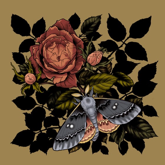 Image of Silk Moth & Rose Print